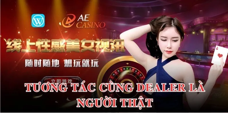 Lý do tại sao AE Sexy lại là lựa chọn hàng đầu cho cộng đồng thành viên