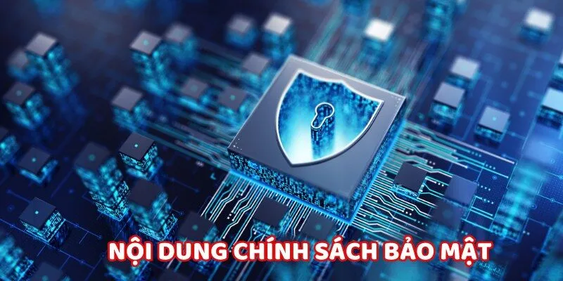 Nội dung chính sách bảo mật thông tin khách hàng tại 69VN