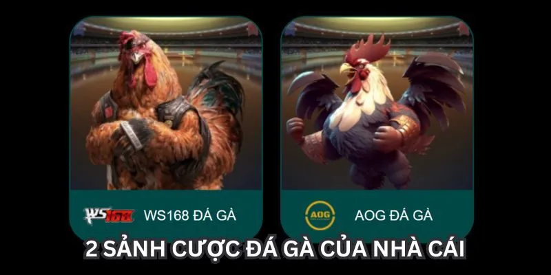 2 sảnh cược đá gà của nhà cái