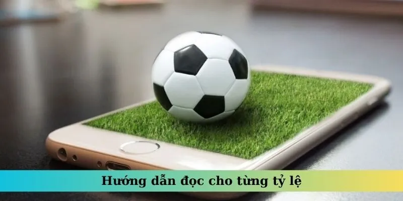 Hướng dẫn đọc cho từng tỷ lệ