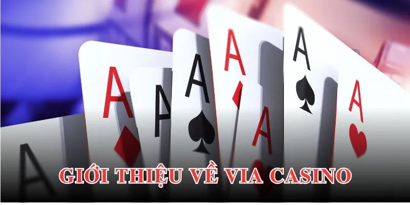 Thông tin khái quát chung về sảnh chơi Via Casino