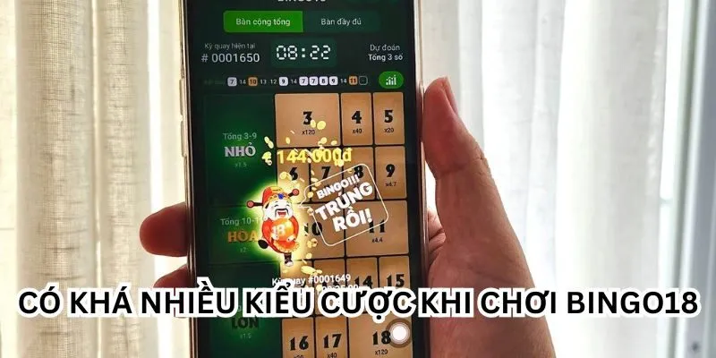 Có khá nhiều kiểu cược khi chơi Bingo18